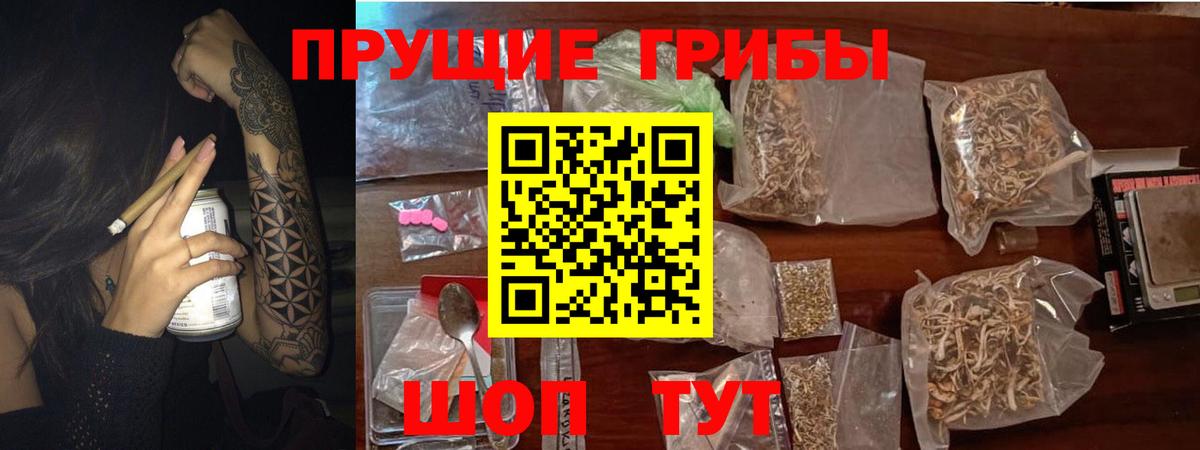 Псилоцибиновые грибы Psilocybe Бугуруслан